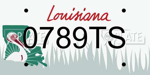 0789TS Louisiana License Plate