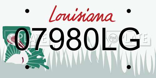 07980LG Louisiana License Plate
