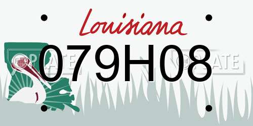 079H08 Louisiana License Plate