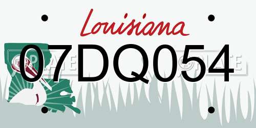 07DQ054 Louisiana License Plate