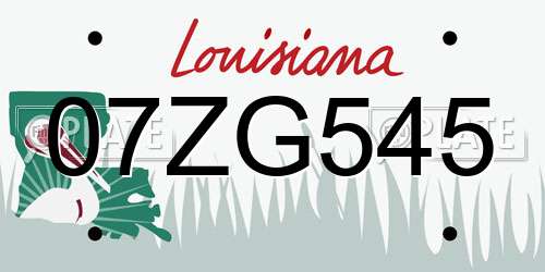 07ZG545 Louisiana License Plate