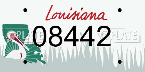 08442 Louisiana License Plate
