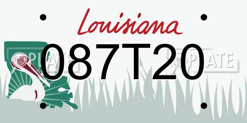 087T20 Louisiana License Plate