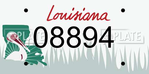 08894 Louisiana License Plate