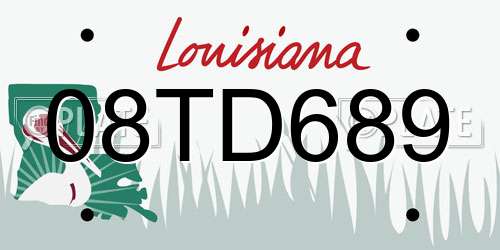 08TD689 Louisiana License Plate