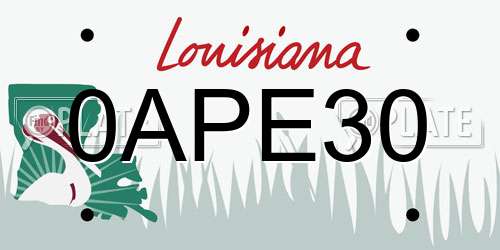 0APE30 Louisiana License Plate
