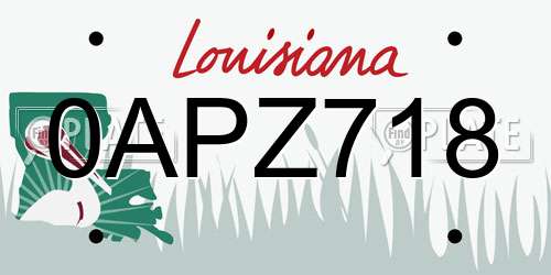 0APZ718 Louisiana License Plate