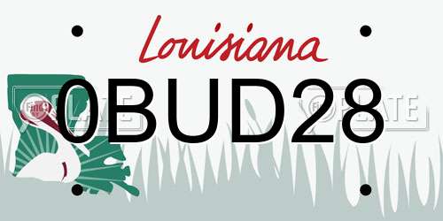 0BUD28 Louisiana License Plate