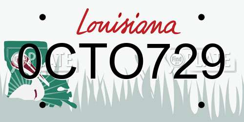 0CTO729 Louisiana License Plate