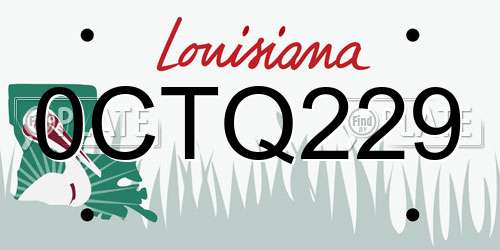 0CTQ229 Louisiana License Plate
