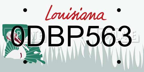 0DBP563 Louisiana License Plate