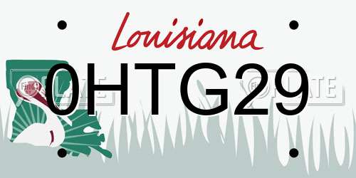 0HTG29 Louisiana License Plate