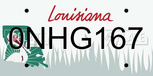 0NHG167 Louisiana License Plate