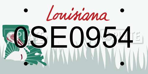 0SE0954 Louisiana License Plate