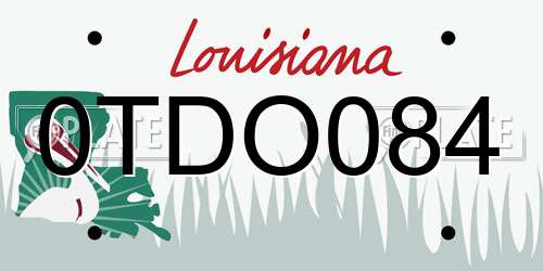 0TDO084 Louisiana License Plate