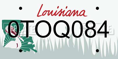 0TOQ084 Louisiana License Plate