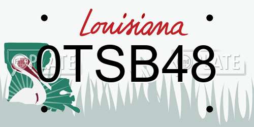 0TSB48 Louisiana License Plate