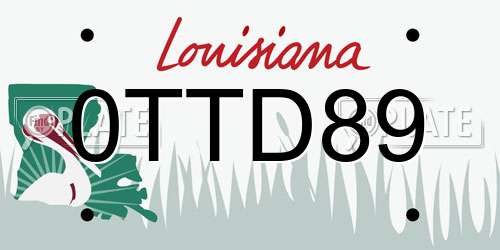 0TTD89 Louisiana License Plate