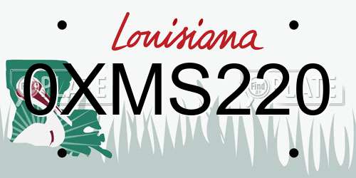 0XMS220 Louisiana License Plate