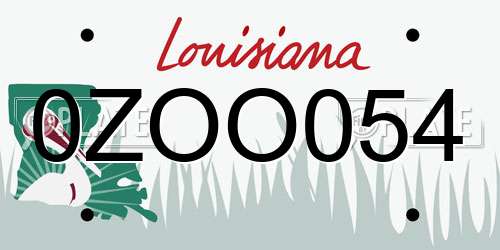 0ZOO054 Louisiana License Plate