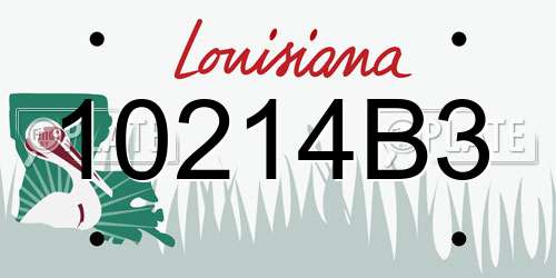 10214B3 Louisiana License Plate