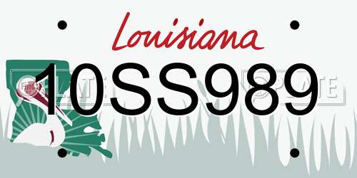10SS989 Louisiana License Plate