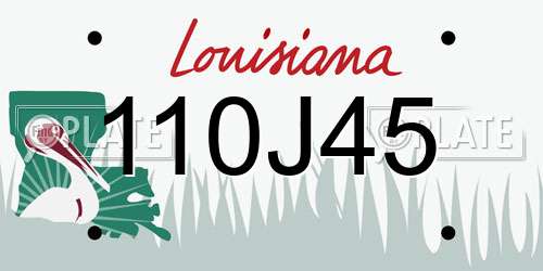 110J45 Louisiana License Plate