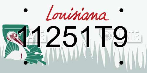 11251T9 Louisiana License Plate