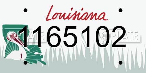 1165102 Louisiana License Plate