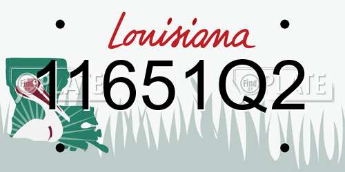11651Q2 Louisiana License Plate