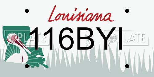116BYI Louisiana License Plate