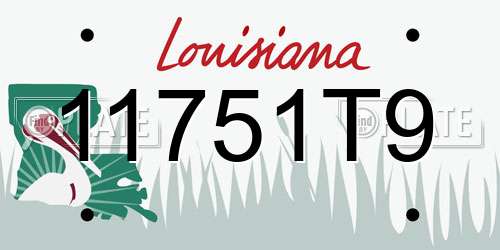 11751T9 Louisiana License Plate