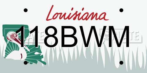 118BWM Louisiana License Plate