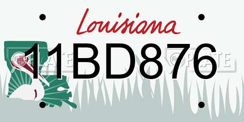 11BD876 Louisiana License Plate