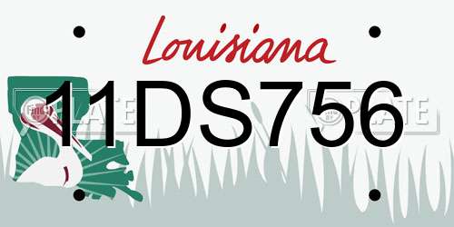 11DS756 Louisiana License Plate