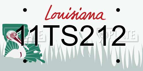 11TS212 Louisiana License Plate