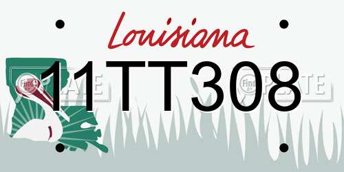 11TT308 Louisiana License Plate
