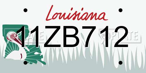 11ZB712 Louisiana License Plate