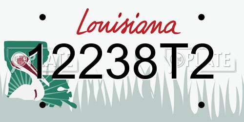 12238T2 Louisiana License Plate