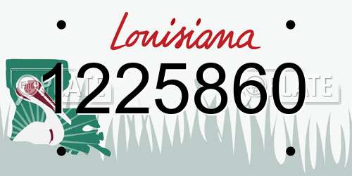 1225860 Louisiana License Plate
