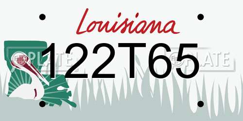122T65 Louisiana License Plate