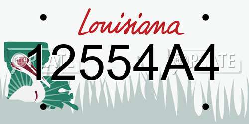 12554A4 Louisiana License Plate