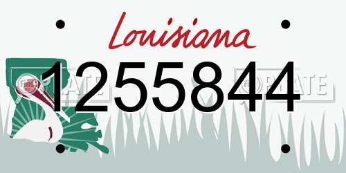 1255844 Louisiana License Plate