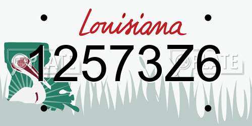 12573Z6 Louisiana License Plate