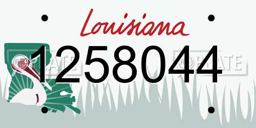 1258044 Louisiana License Plate