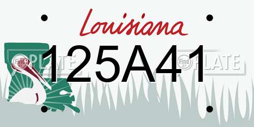 125A41 Louisiana License Plate