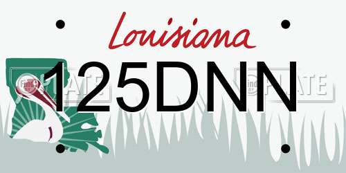 125DNN Louisiana License Plate