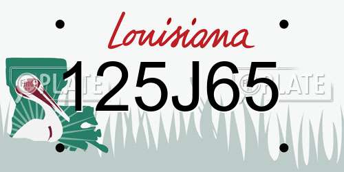 125J65 Louisiana License Plate