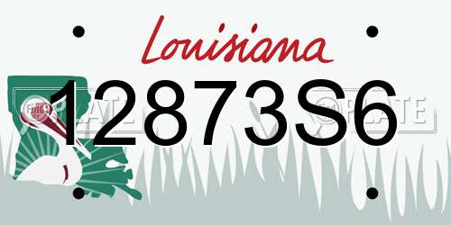 12873S6 Louisiana License Plate