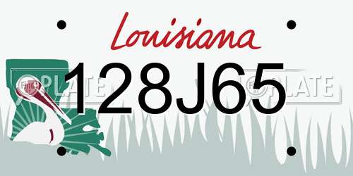 128J65 Louisiana License Plate